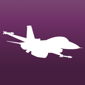 Fighter Jet Iron on Decal
